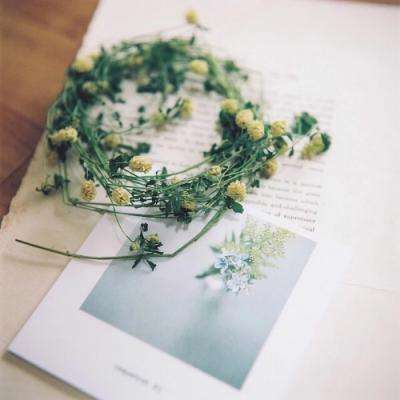 大发国际手机app下载